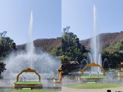 -西双版纳原始森林公园