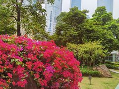 -海心沙亚运公园