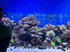 -珠海长隆海洋王国