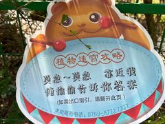-大屏嶂森林公园