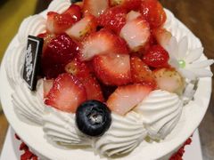 -幸福鸟动物奶油生日蛋糕(军校店)