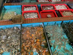 -景好海鲜餐厅(大鹏必选旅游店)