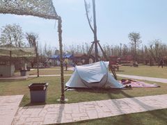 -上海长兴岛郊野公园