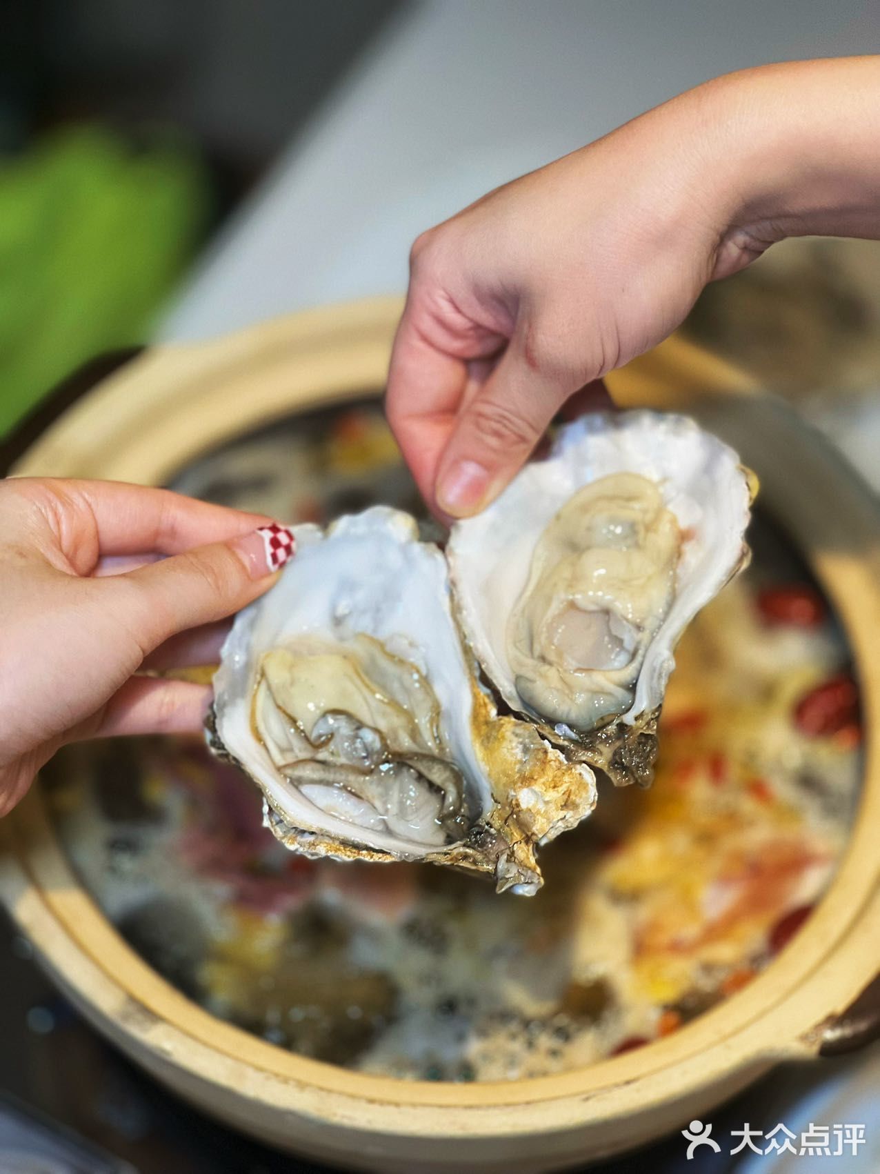 打浦桥宝藏茶餐厅，生蚝鸡煲不容错过！