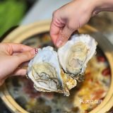 打浦桥宝藏茶餐厅，生蚝鸡煲不容错过！