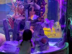 -沈阳海洋探索中心