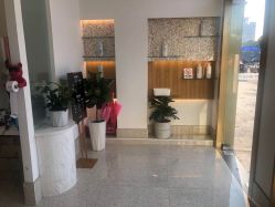 -YESIDO椰岛造型