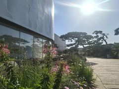 -罗红摄影艺术馆