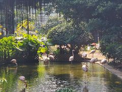 -九龙公园