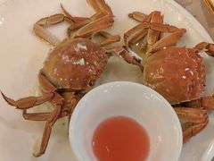 -鹭园酒家·四十年老字号