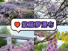 -浙江大学(紫金港校区)