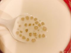 -合德记顺德双皮奶(江南西店)