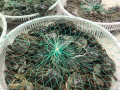 -三旗百汇商品城