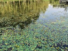 -中关村生命科学园