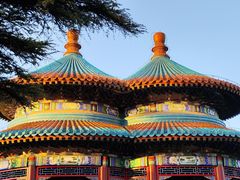 -小肠陈卤煮(草桥店)