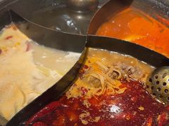 -朱光玉火锅馆(正弘城店)