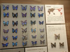 -天津自然博物馆