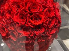 -ROSEONLY诺誓(磐基中心店)