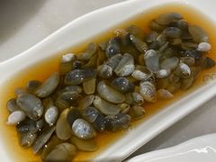 -华盛丰温州大排档(东三环南路店)