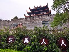 -杜甫江阁