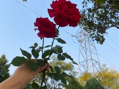 -汉长安城未央宫国家考古遗址公园