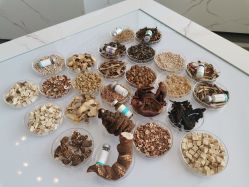 -采之汲·云南白药集团