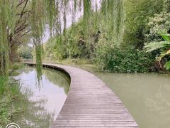 -昆山城市生态森林公园