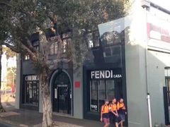 -悉尼歌剧院