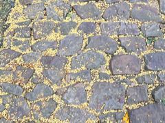 -狼山风景名胜区