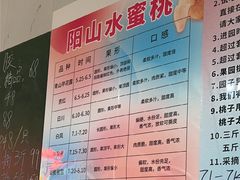 -老袁家蜜桃农场·阳山水蜜桃