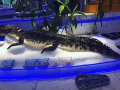 -澜悦港海鲜体验主题餐厅