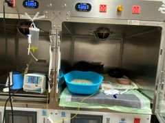 -康成宠物医院24H·CT·核磁共振