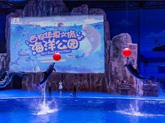 -华夏文旅海洋公园