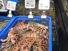 -盒马鲜生(皇庭广场店)