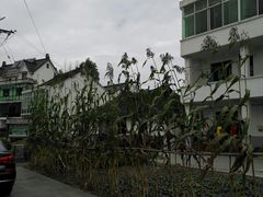 -锦江中华村农家乐饭庄