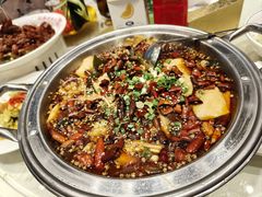 -巨鼎谭家菜(普照寺路店)
