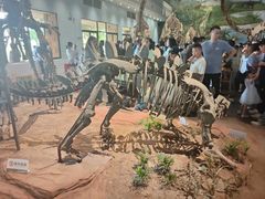 -自贡恐龙博物馆
