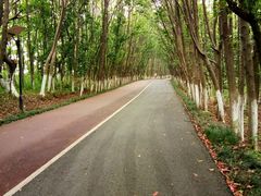 -艾溪湖湿地公园