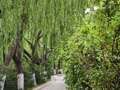-南翠屏公园
