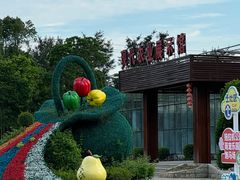 -东南花都花博园