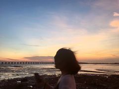 -宝安西湾红树林湿地公园