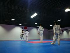 -陈中跆拳道(中关村馆)