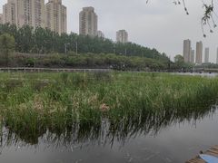 -前关湿地公园