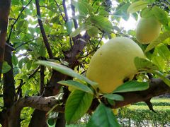 -洛阳周公庙博物馆