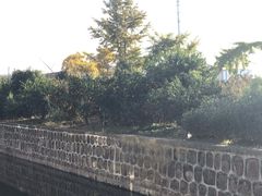 -云和夜泊酒店·中餐厅