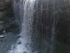 -汤旺河林海奇石景区