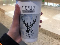 -鹿角巷The Alley(龙湖天街店)