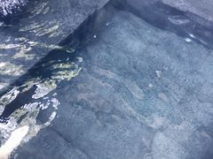 -明谷行馆·温泉