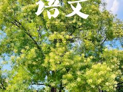 -元大都城垣遗址公园