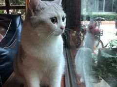 -咖法森林·咖啡  酒吧(天河店)